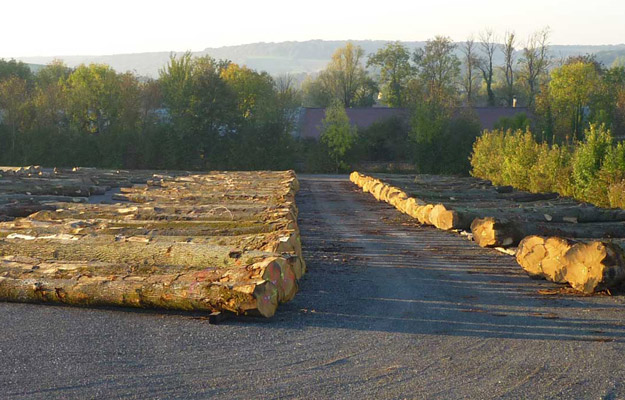 Lot grumes exceptionnelles Lot grumes exceptionnelles